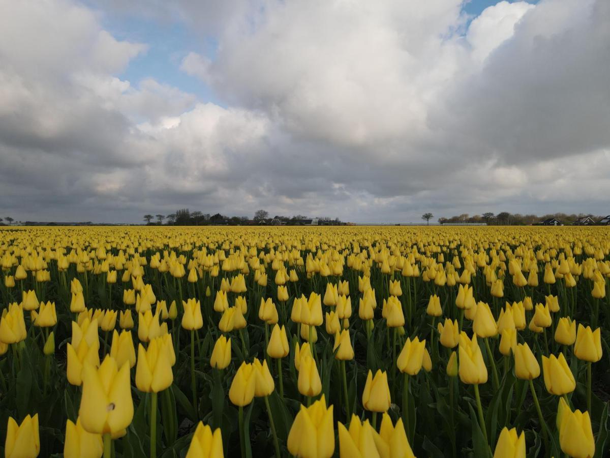 Camping De Tulpenweide Lege Kampeerplaats, Lege Plaats Op Het Gras Zonder Bed Breezand エクステリア 写真