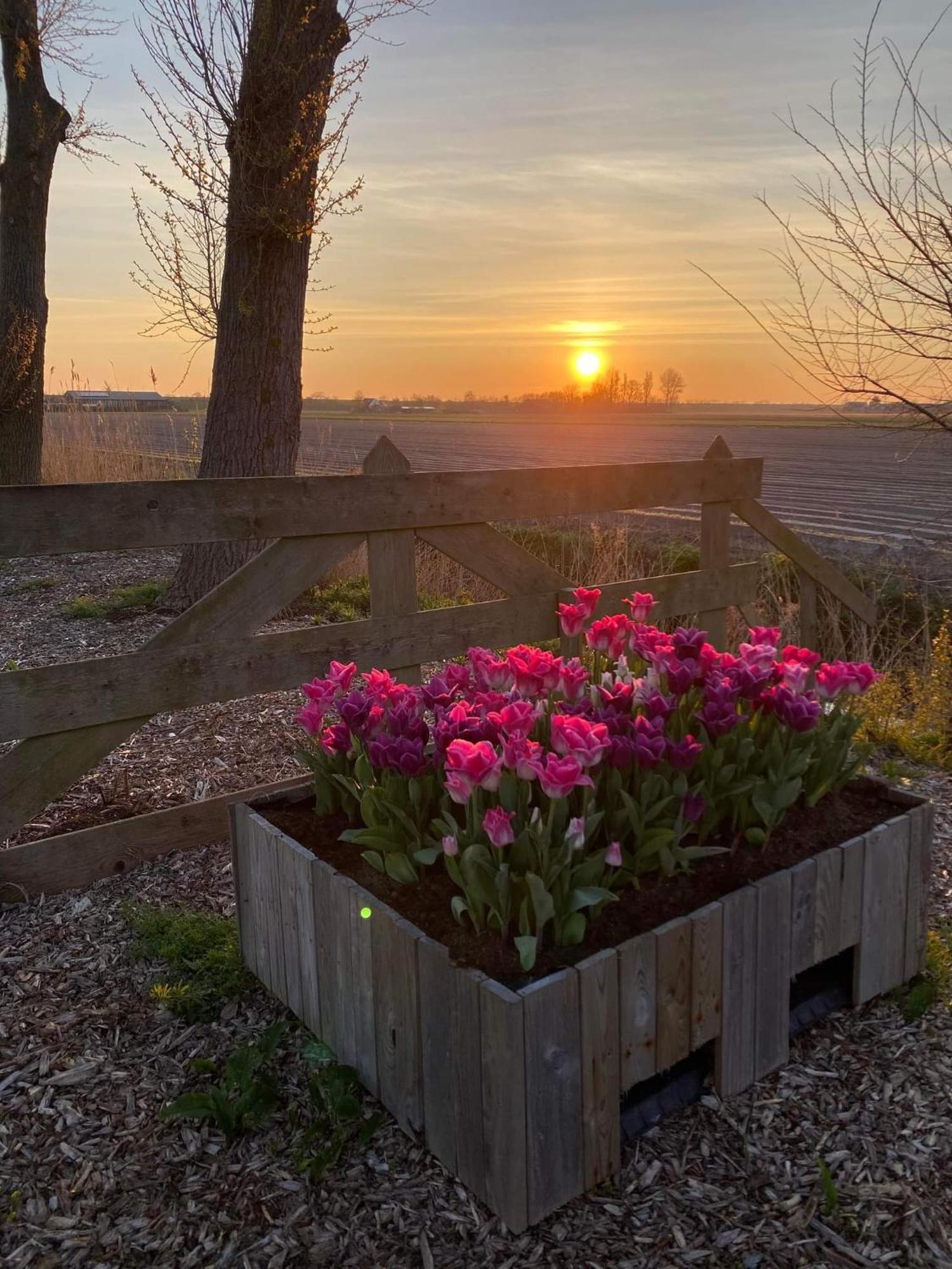 Camping De Tulpenweide Lege Kampeerplaats, Lege Plaats Op Het Gras Zonder Bed Breezand エクステリア 写真