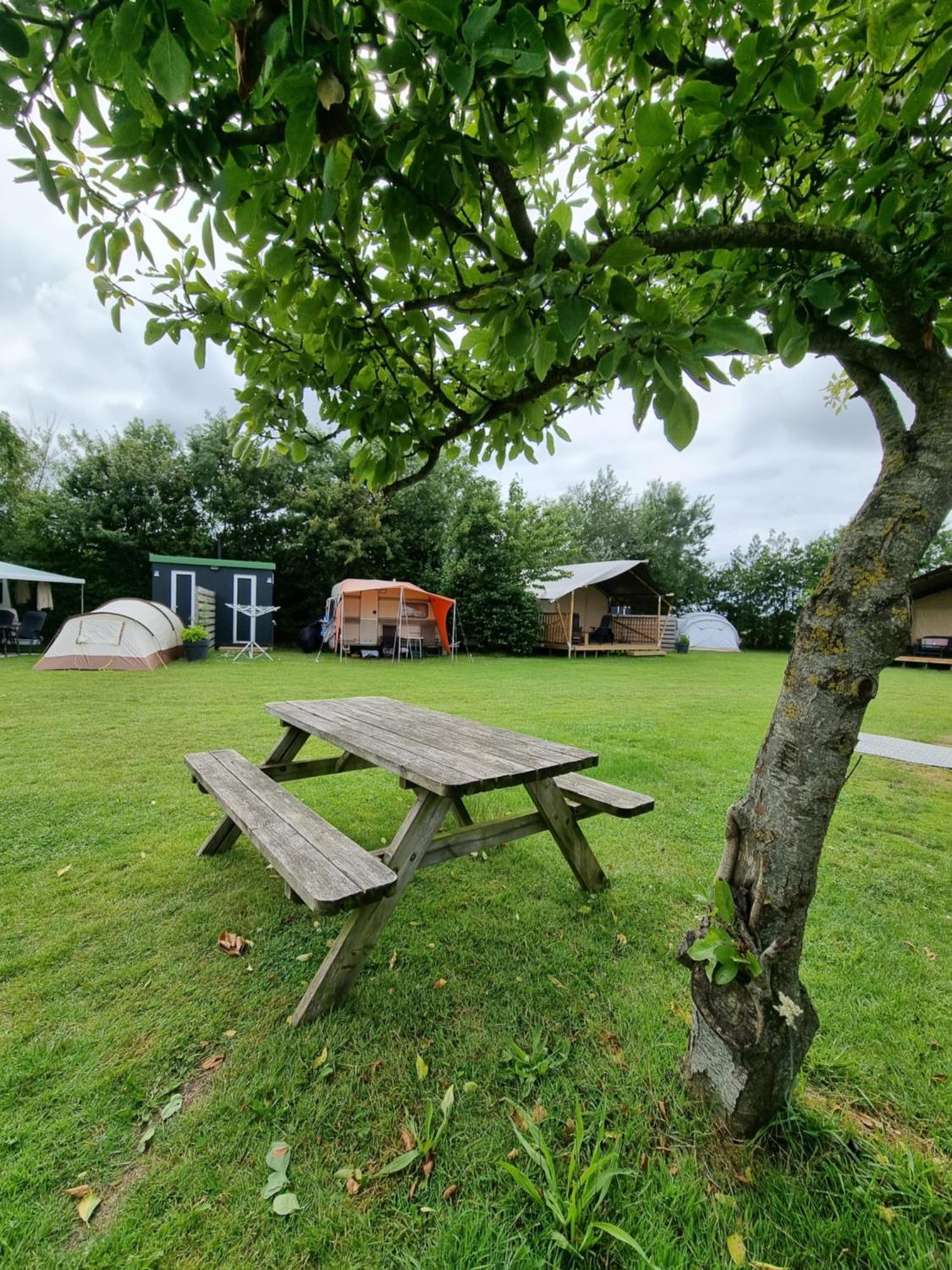 Camping De Tulpenweide Lege Kampeerplaats, Lege Plaats Op Het Gras Zonder Bed Breezand エクステリア 写真