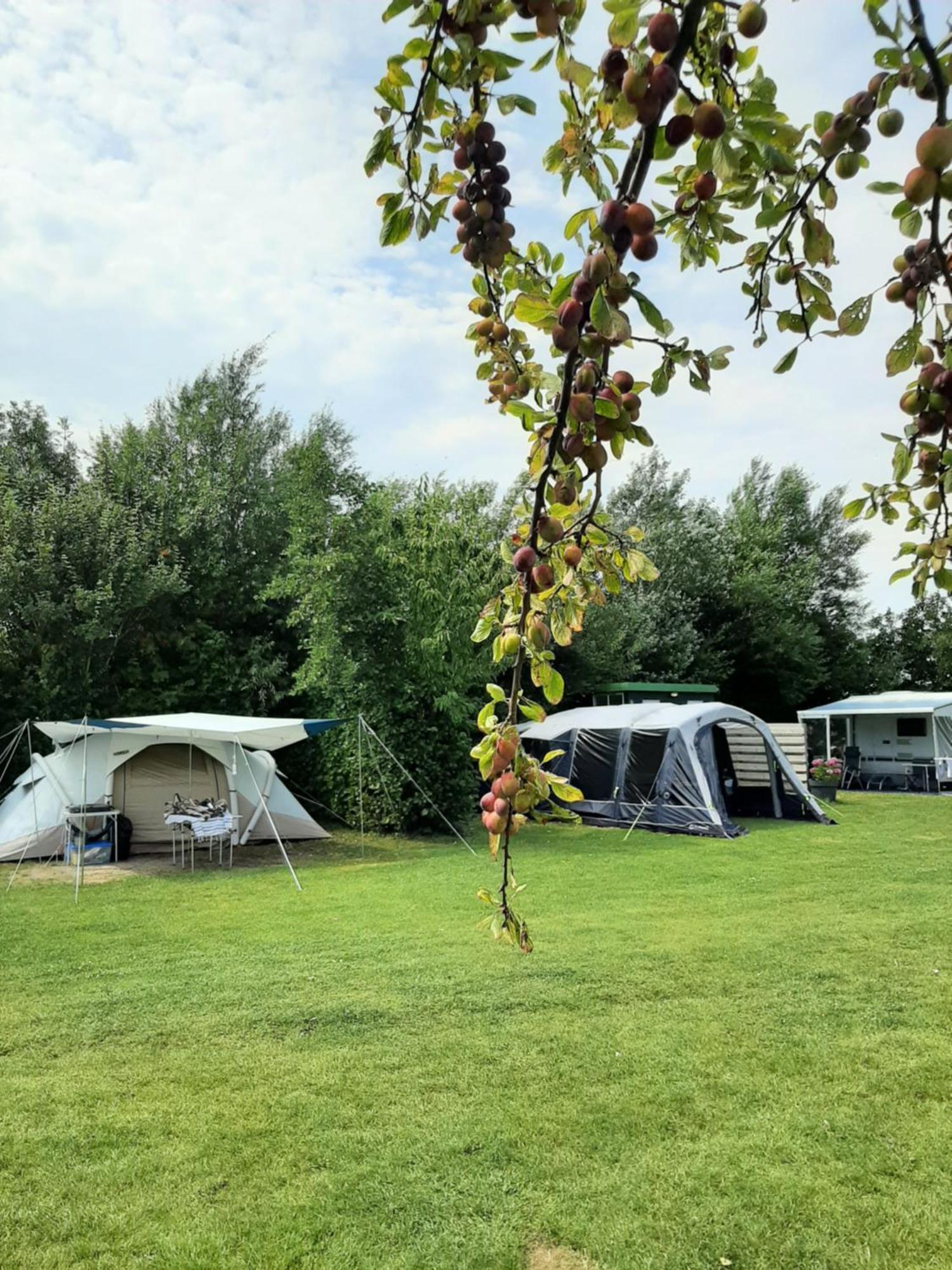 Camping De Tulpenweide Lege Kampeerplaats, Lege Plaats Op Het Gras Zonder Bed Breezand エクステリア 写真