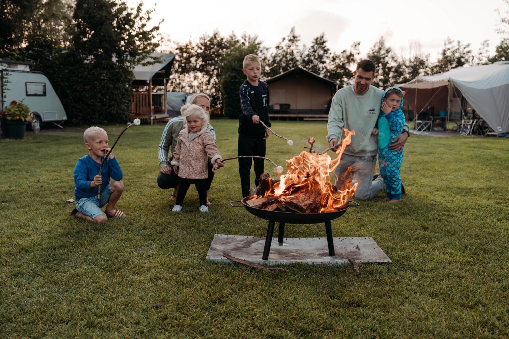 Camping De Tulpenweide Lege Kampeerplaats, Lege Plaats Op Het Gras Zonder Bed Breezand エクステリア 写真