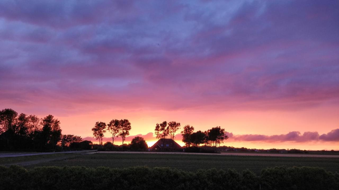 Camping De Tulpenweide Lege Kampeerplaats, Lege Plaats Op Het Gras Zonder Bed Breezand エクステリア 写真